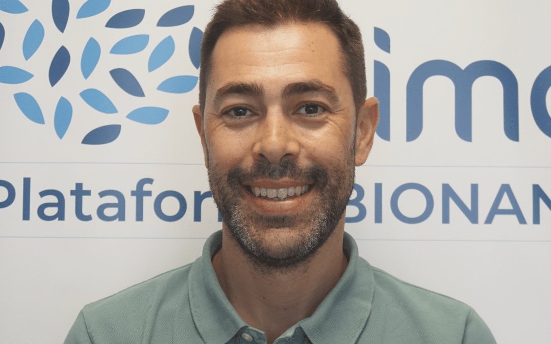 BERNARDO HERRERA IMBRODA