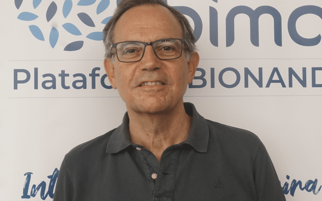 FERNANDO VIDAL VERDÚ