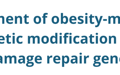 Assessment of obesity-mediated epigenetic modification of DNA damage repair genes