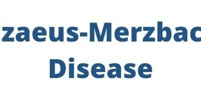 The Pelizaeus-Merzbacher disease