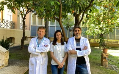 Investigadores de IBIMA demuestran la necesidad de personalizar la nutrición de los diabéticos que se alimentan por vía venosa