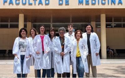 Un nuevo hallazgo contra el párkinson: una hormona natural protege las neuronas y mejora la salud celular