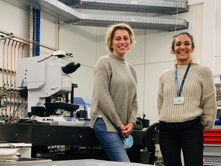 Un nanocompuesto basado en un fármaco ya existente mejora la eficacia y la selectividad frente a células de glioblastoma