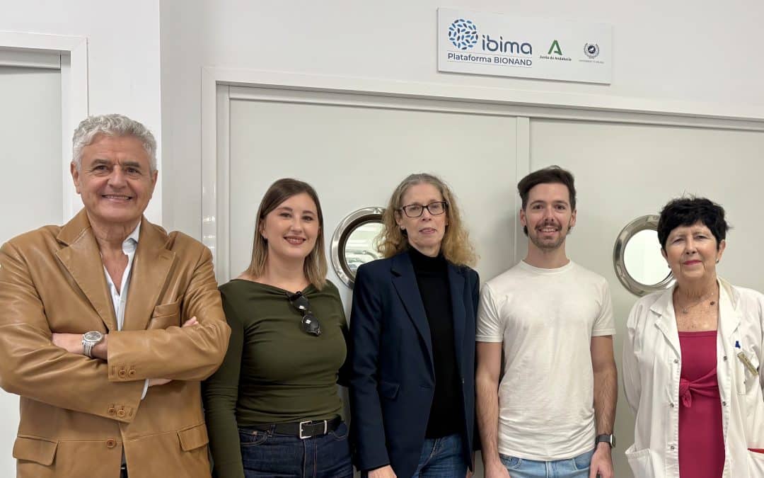 Un estudio pionero desarrollado en Málaga confirma el papel del intestino en el daño hepático