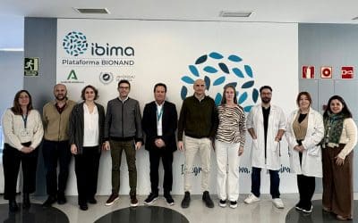 Un proyecto pionero en el que participa IBIMA busca mejorar el proceso de curación del jamón curado  