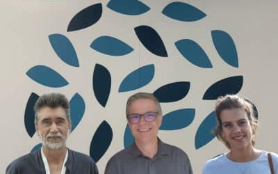 La ciencia malagueña explica por qué reaparece la evitación tras la terapia de ansiedad