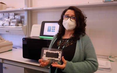 Diseñan una nueva estrategia antiviral frente al SARS-CoV-2, patógeno responsable de causar la COVID-19