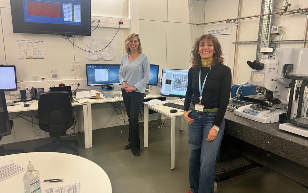 Investigadores avanzan en el estudio del glioblastoma en el laboratorio utilizando materiales de vanguardia