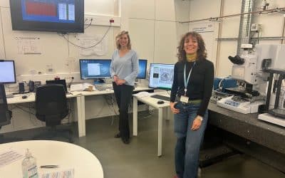 Investigadores avanzan en el estudio del glioblastoma en el laboratorio utilizando materiales de vanguardia