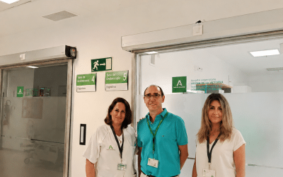 Descubren que las vesículas de la microbiota intestinal agravan el daño hepático y toxicidad por fármacos