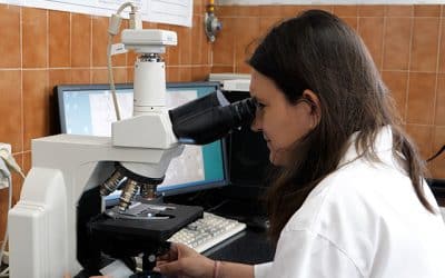 Investigadores de Málaga logran mejorar la eficacia analgésica de la morfina