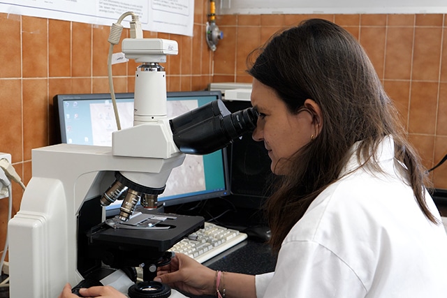 Investigadores de Málaga logran mejorar la eficacia analgésica de la morfina