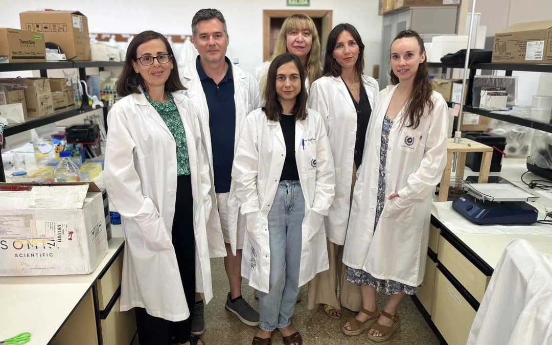 Identifican nuevas conexiones entre obesidad, diabetes y alzhéimer