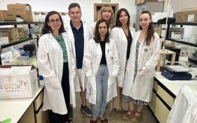 Identifican nuevas conexiones entre obesidad, diabetes y alzhéimer